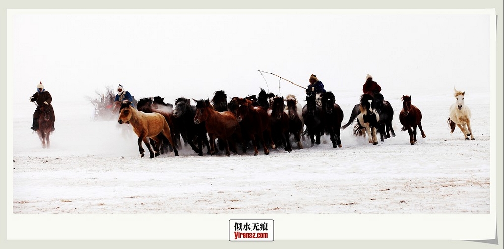 雪原人生 摄影 似水无痕