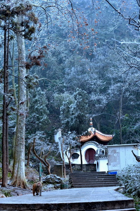 黔灵冰雪小景 摄影 sgzx80430