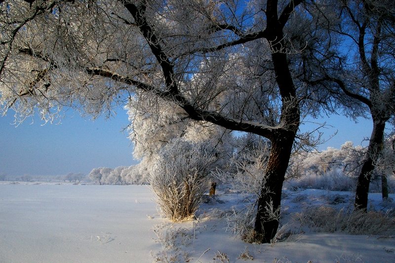 北方的雾与雪 摄影 万里秋风