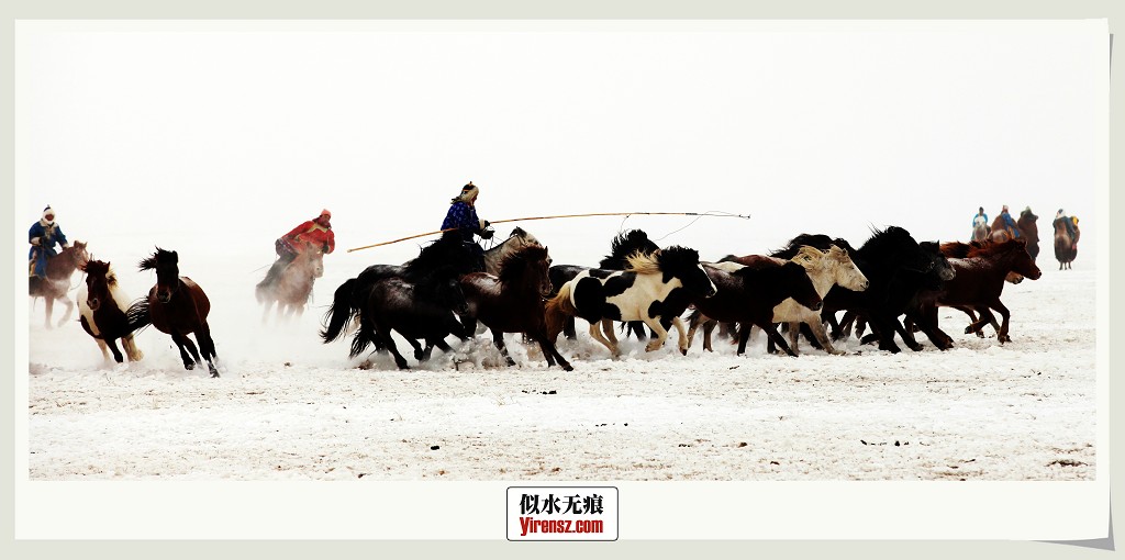 让骏马飞 摄影 似水无痕