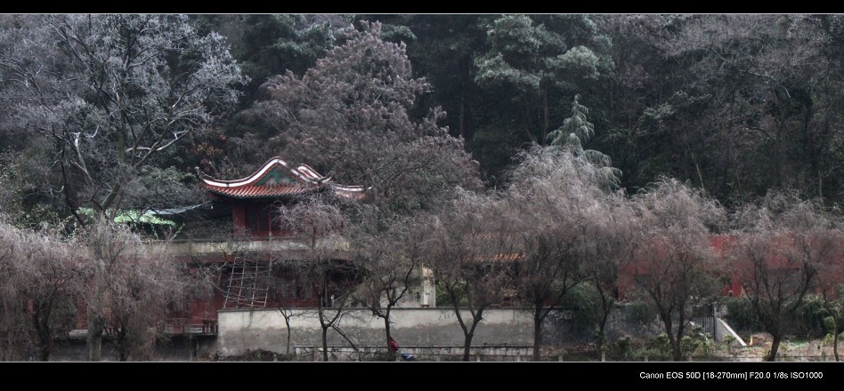 贵阳冬季 摄影 jcq雨中行