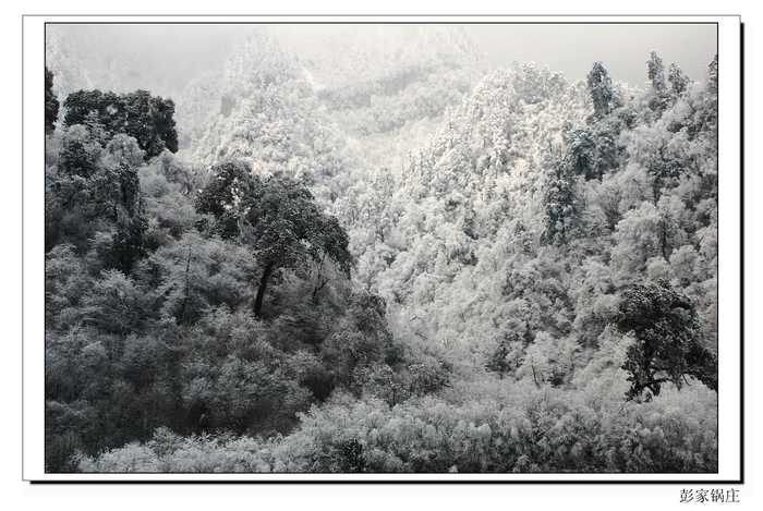 瑞雪丰年 摄影 彭家锅庄