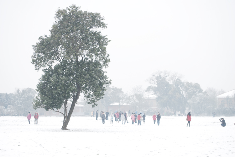 大雪纷飞兆丰年 摄影 欧杨