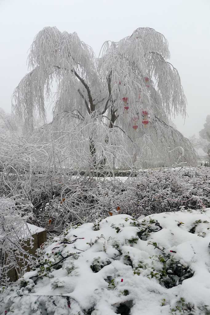 雪后庐山 4 摄影 拐杖