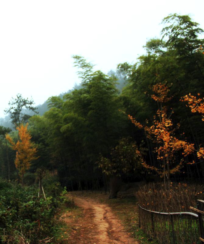 山间小路 摄影 岚馨