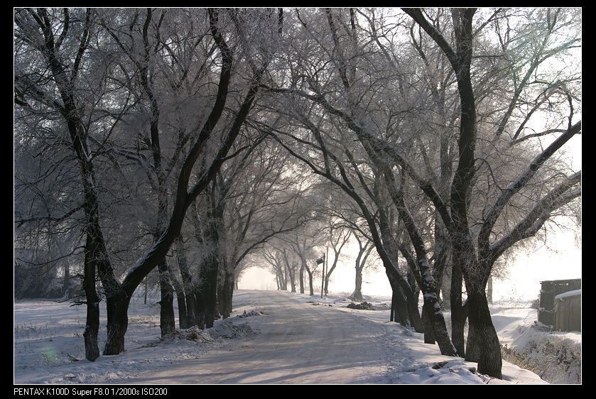 乡路雪景 摄影 万里秋风