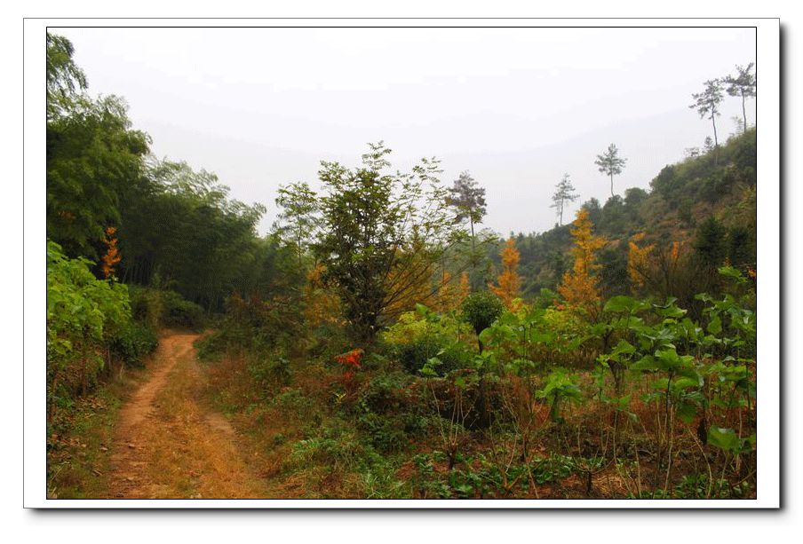 泥巴路 摄影 岚馨