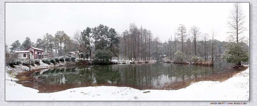 2011年的梅园初雪 摄影 秋之语的空间