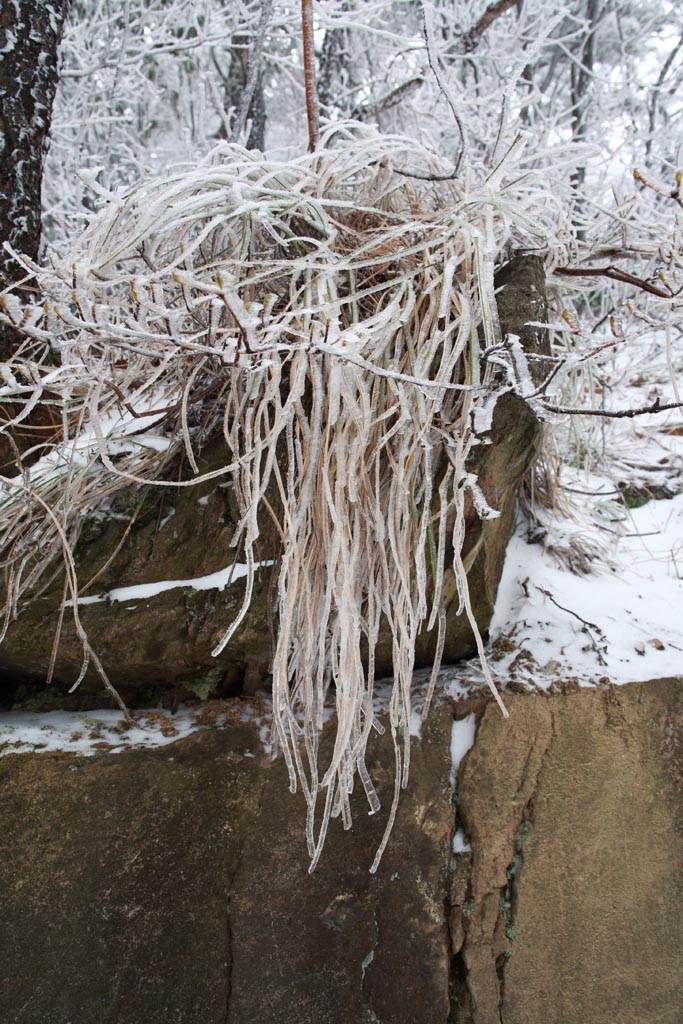 雪后庐山 8 摄影 拐杖