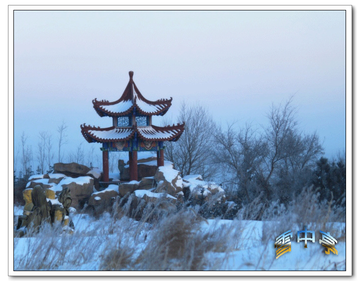 雪中亭 摄影 康乐情怀