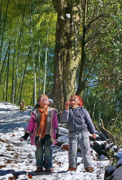 抛雪球的少年 摄影 林中雀