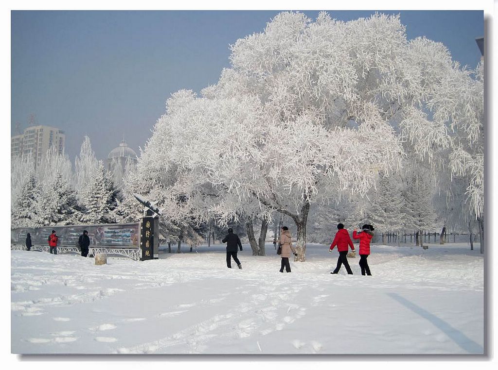 情系凇雪 摄影 深水无澜