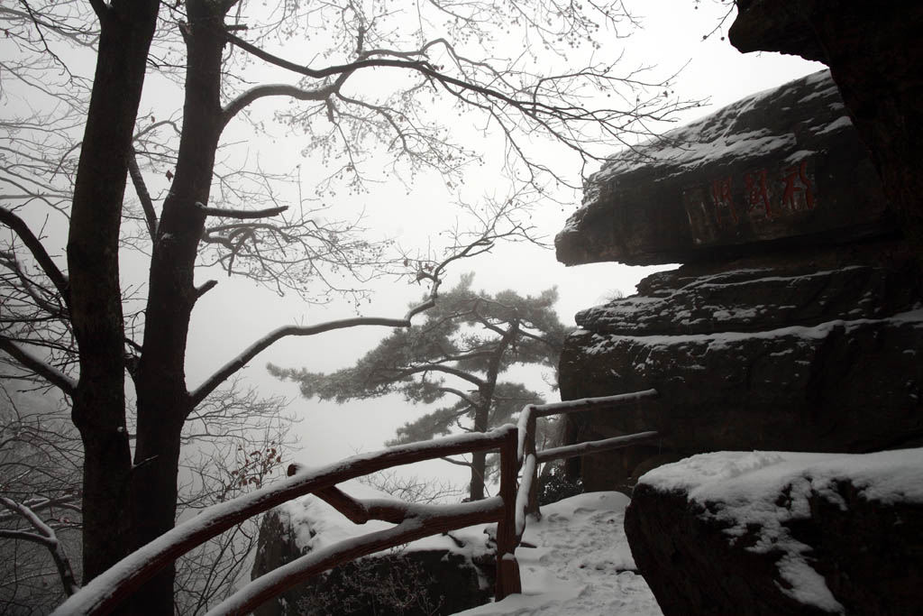 雪后庐山 10 摄影 拐杖