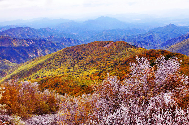 高山峻岭红叶时 摄影 第一户外