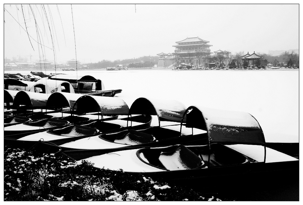 芙蓉园雪 摄影 阳光灿烂中