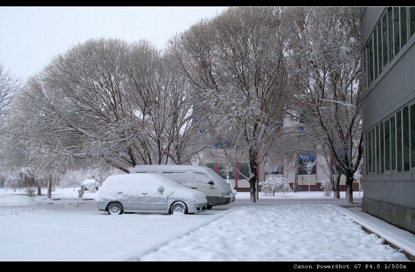 大雪光临 摄影 shanfenghao