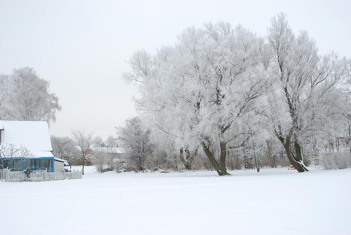 初冬瑞雪 摄影 北欧黎明