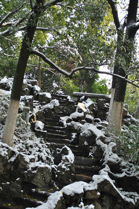 下雪了5 摄影 chunyingzhan