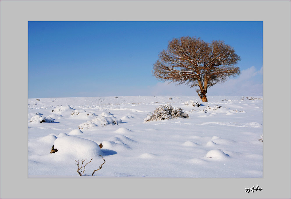 雪域戈壁 摄影 云之山峰