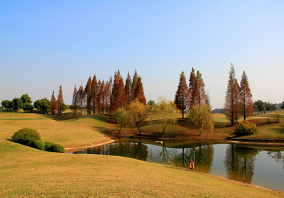 乐满地高尔夫球场 摄影 眼睛里的风景