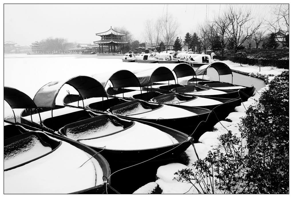 芙蓉园冬雪 摄影 阳光灿烂中