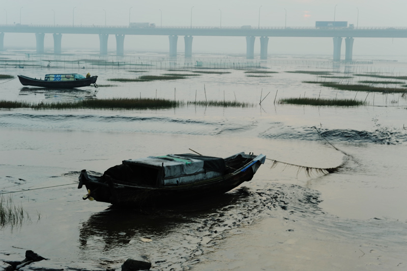 海湾搁浅 摄影 走过苍凉