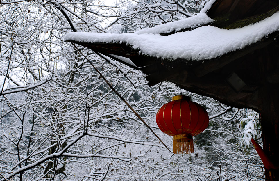 喜庆瑞雪 摄影 少城清风