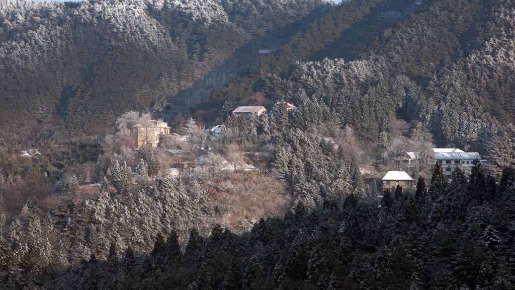 雪后庐山 19 摄影 拐杖