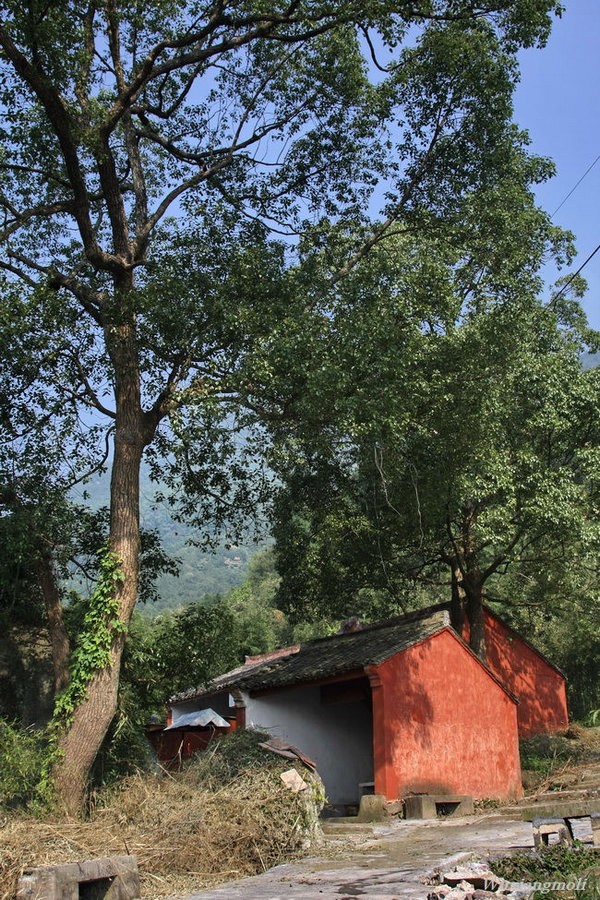 溪口·山景野趣（9） 摄影 无香茉莉