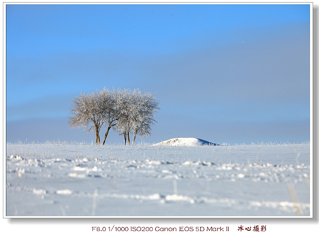 冰雪童话 摄影 一片冰心A