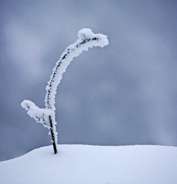 雪宝山 摄影 亚拉索-1