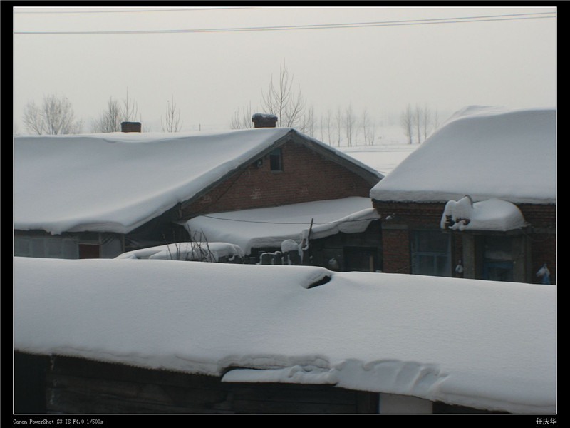 冬雪 摄影 任庆华