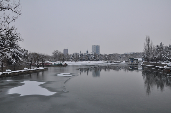 城市雪景 摄影 江湖鹰