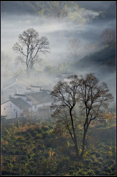 老家的早晨 摄影 溪石