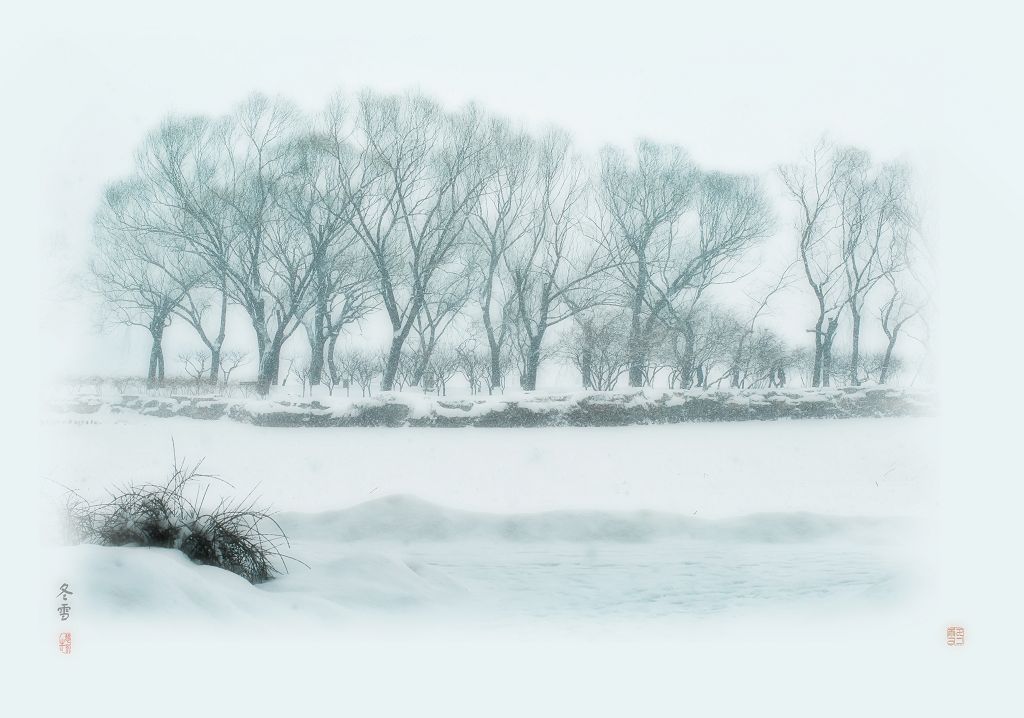 冬雪    （去年所拍） 摄影 垦荒牛