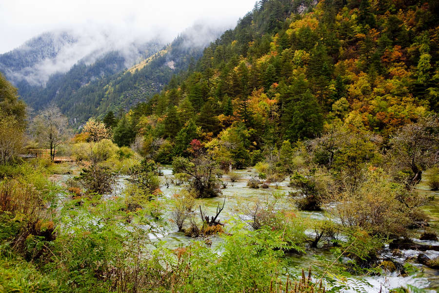 九寨沟盆景滩风景 摄影 竹篱