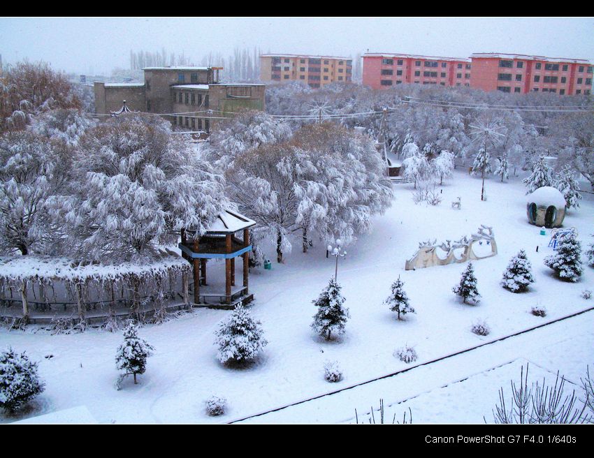 冰天雪地看小区 摄影 shanfenghao