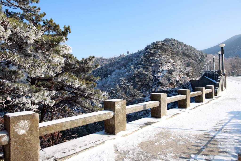 雪后庐山 22 摄影 拐杖