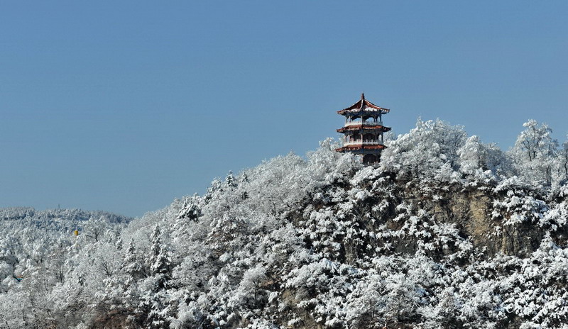 瑞雪兆丰年 摄影 麦子1018