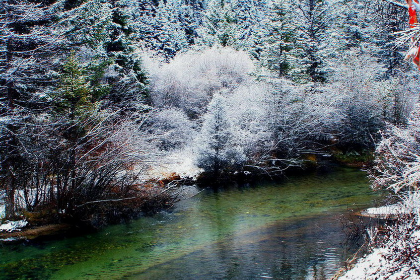 瑞雪 摄影 神田