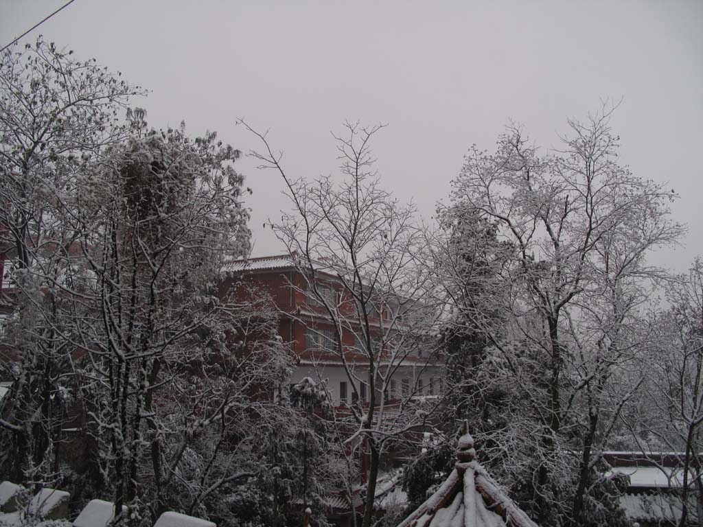 雪 摄影 一千零一夜