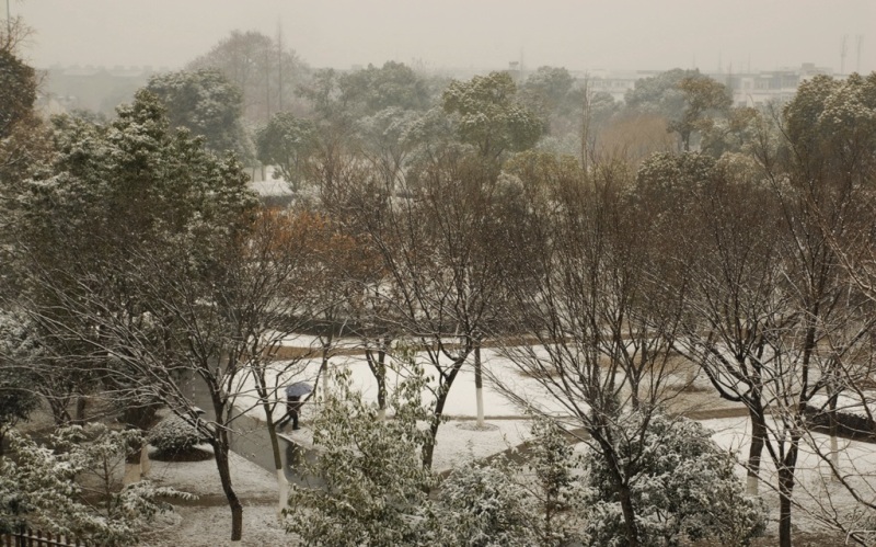 苏州。雪 摄影 中年胖