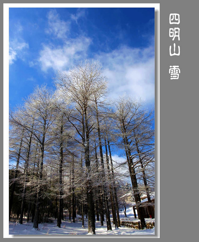 四明山。雪5 摄影 牛妞38