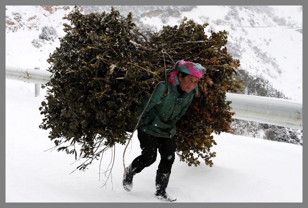 背祡的彝家妇女 摄影 青花椒