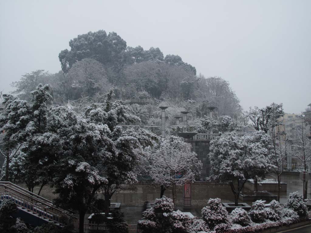 兴义2011年第一场雪 摄影 一千零一夜