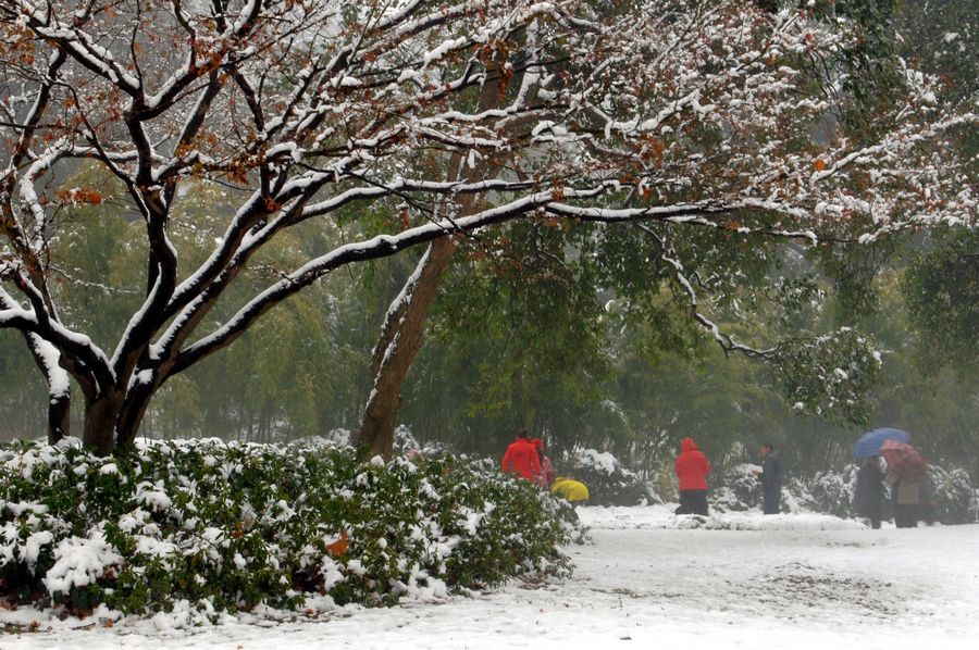 杭州的雪 摄影 文一哥