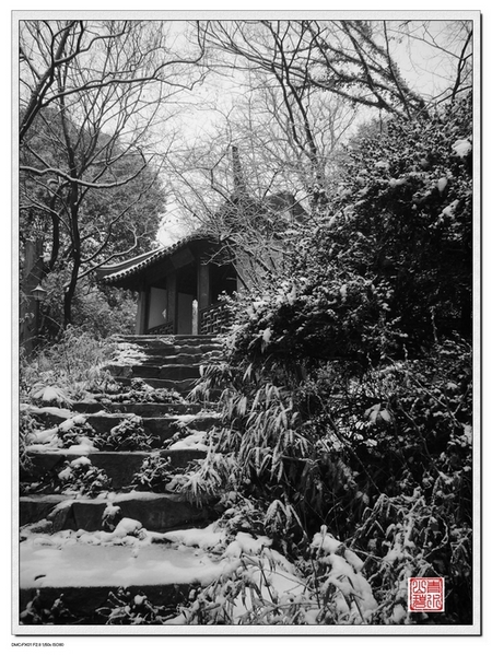 书台积雪 摄影 青山碧水