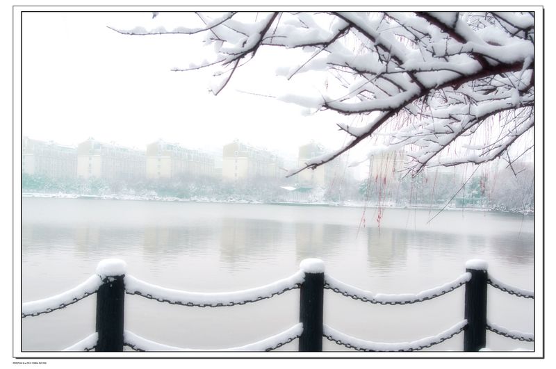 江城雪景 摄影 WA逆风飞扬