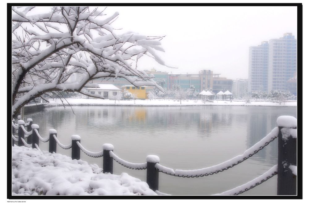 江城雪景2 摄影 WA逆风飞扬