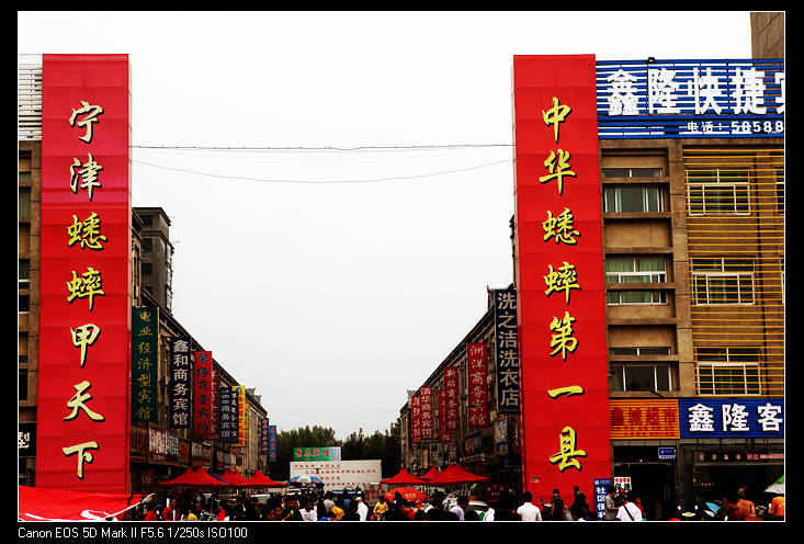 山东蟋蟀市场 摄影 海德